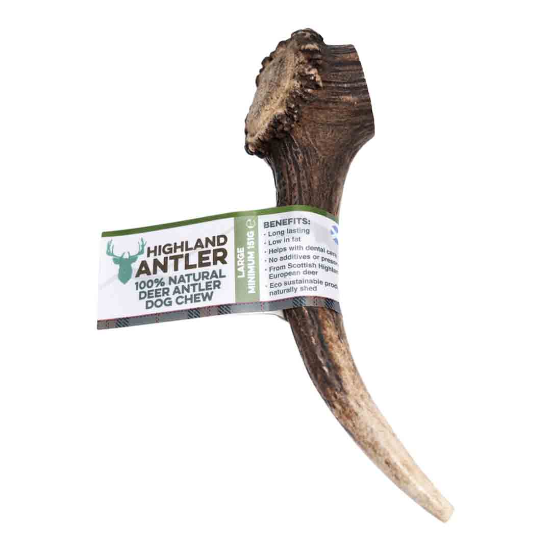 Antler Natural Stagbar, Dog Chew, Large