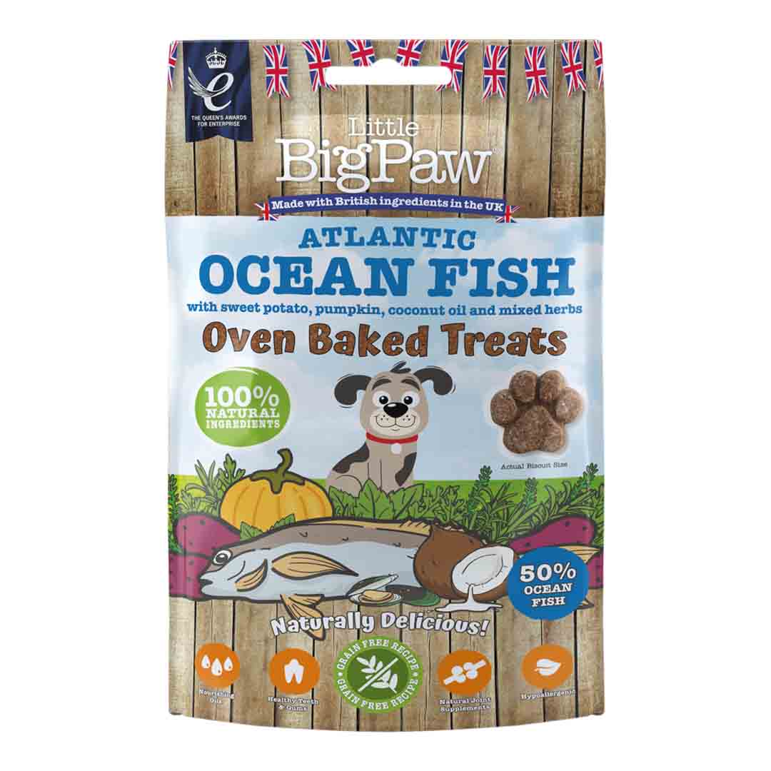 Little BigPaw Oven Baked Ocean Fish Dog Treats, 130g