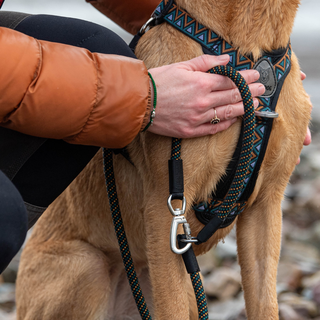 Neerdog GO-B-Flextra Multifunctional Rope Dog Lead Black, Green & Orange