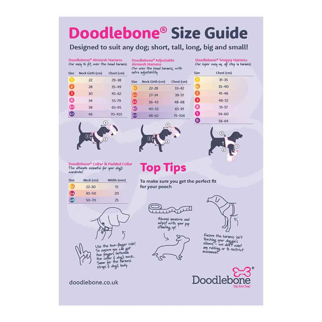Doodlebone Trendy Tails Padded Dog Collar Blue 3-6