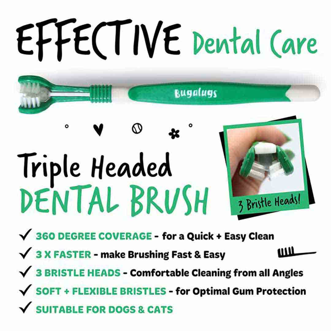 Bugalugs Dog & Cat Triple Headed Toothbrush 2 Pack