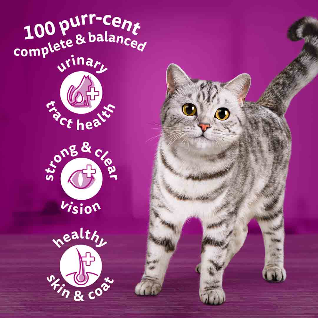 Whiskas Adult Dry Cat Food with Chicken, 1.9kg