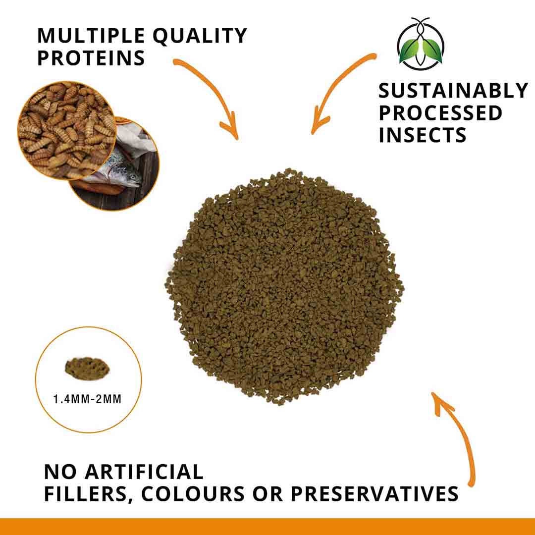 Fluval Bug Bites Goldfish Food Granules, 45g