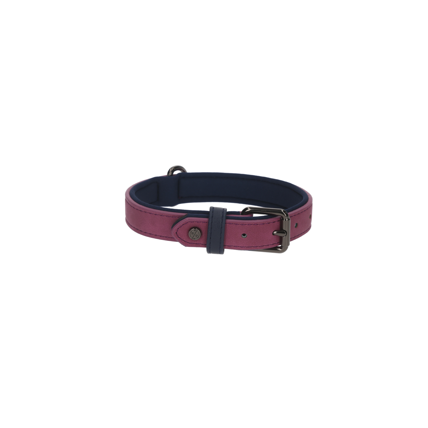 Rufus & Rosie Brights Tech Dog Collar, Large, Purple