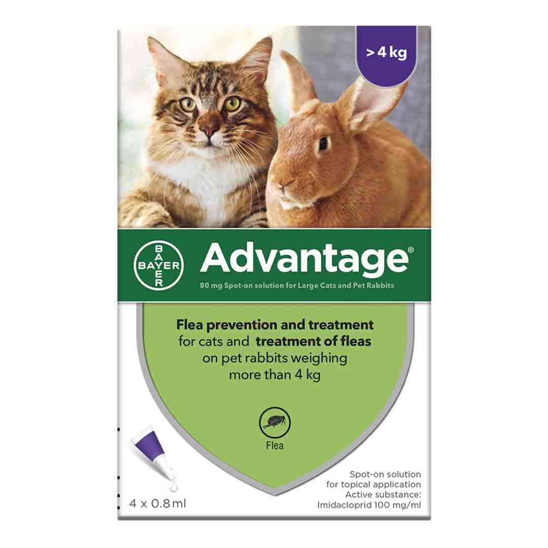 Advantage Spot On Flea Treatment for Large Cats & Rabbits - 4kg