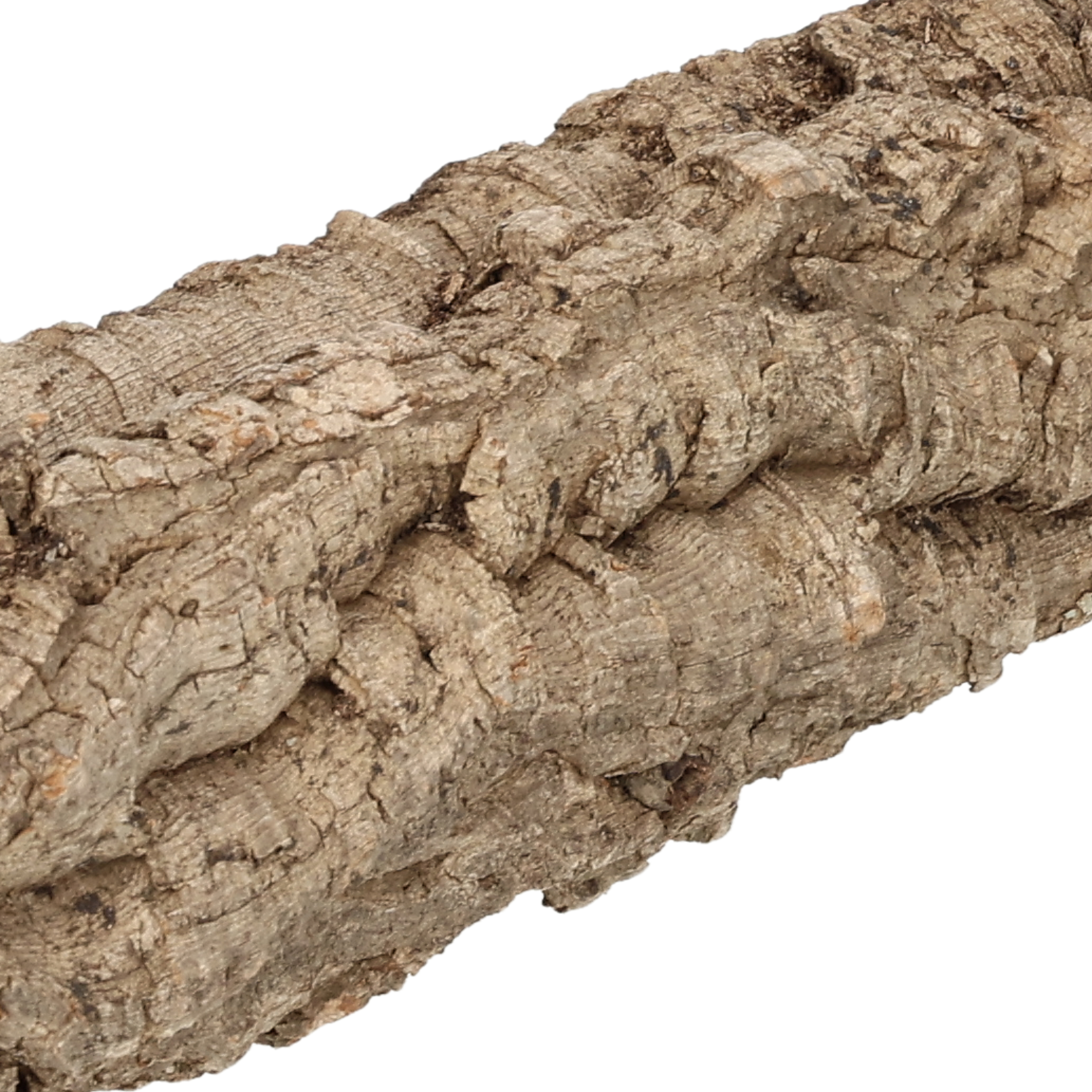 ProRep Cork Bark Flat, Small, Aquarium Ornament