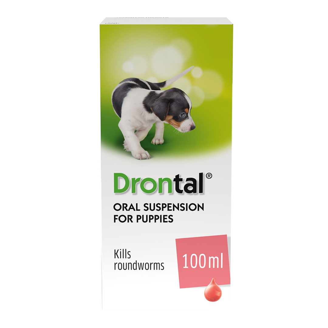 Drontal Puppy Liquid Wormer 100ml