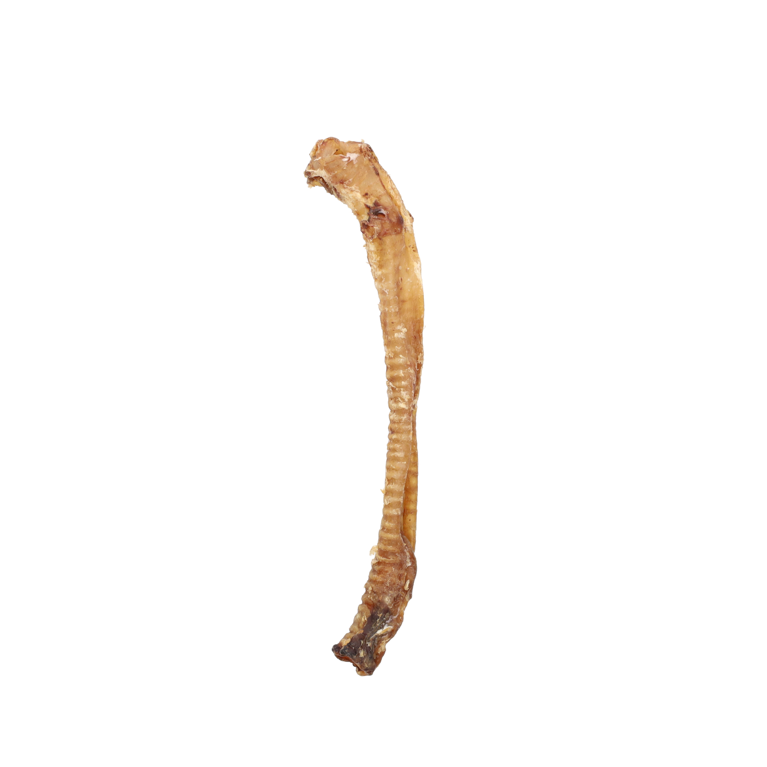 Lifestage Pre-Pack Lamb Trachea Dog Treats 200g
