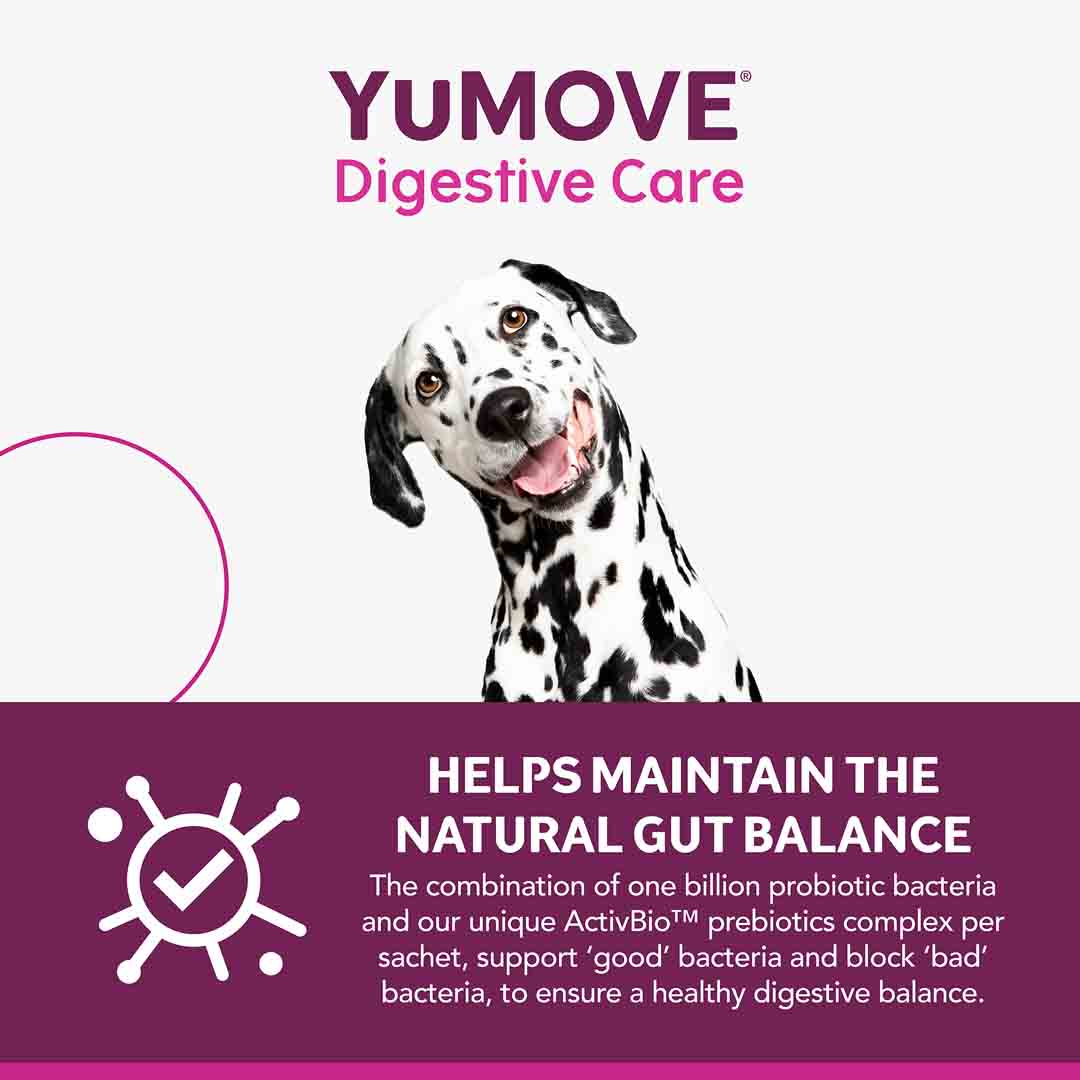 YuMove Digestive Care, 6 Sachets