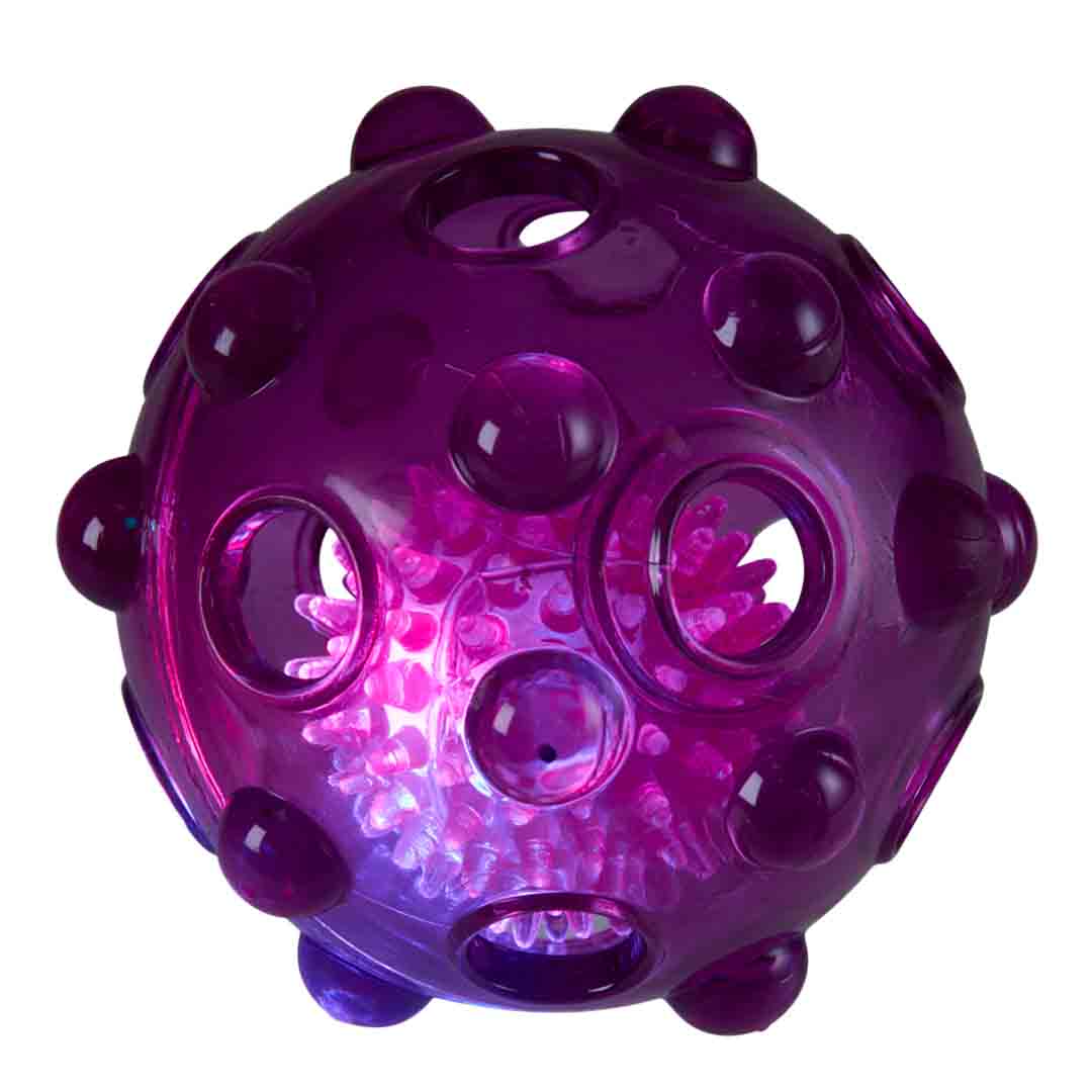 Rufus & Rosie Flashing Ball Dog Toy, Medium