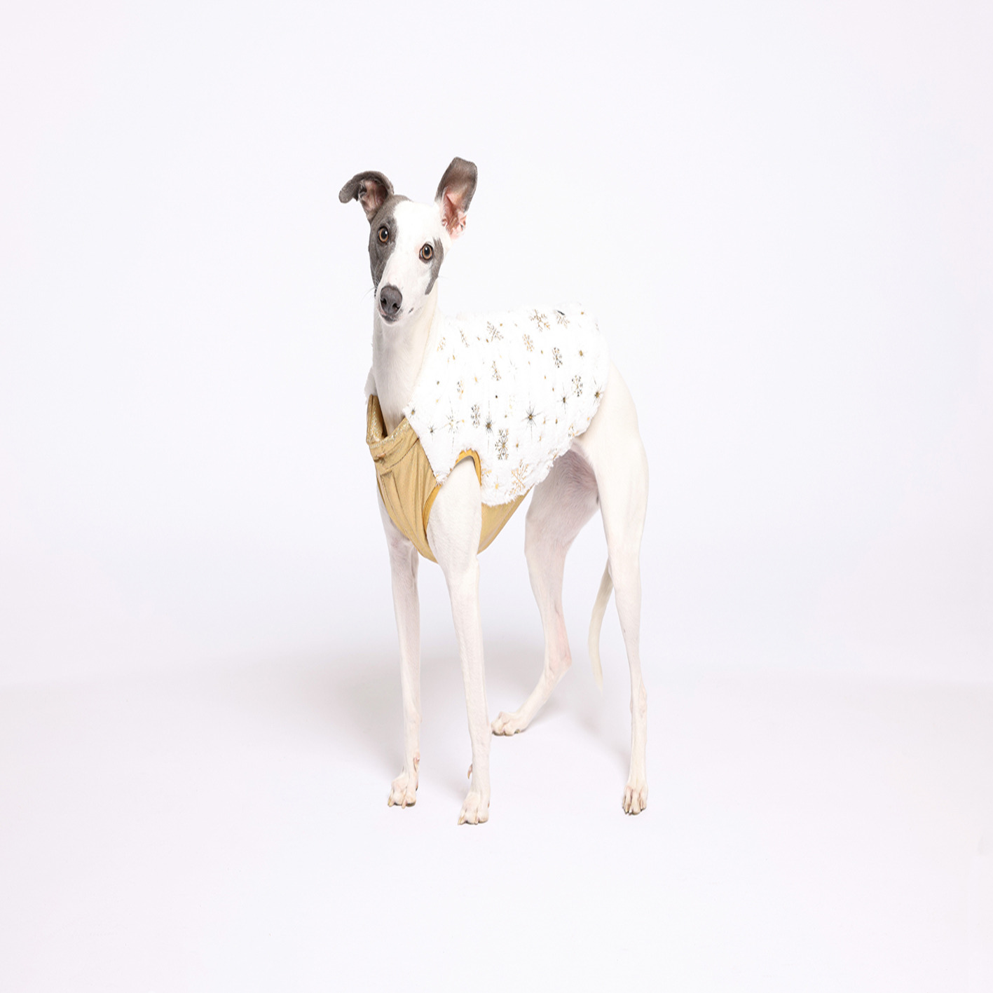 Rufus & Rosie Arctic Glitter Dog Coat One Size