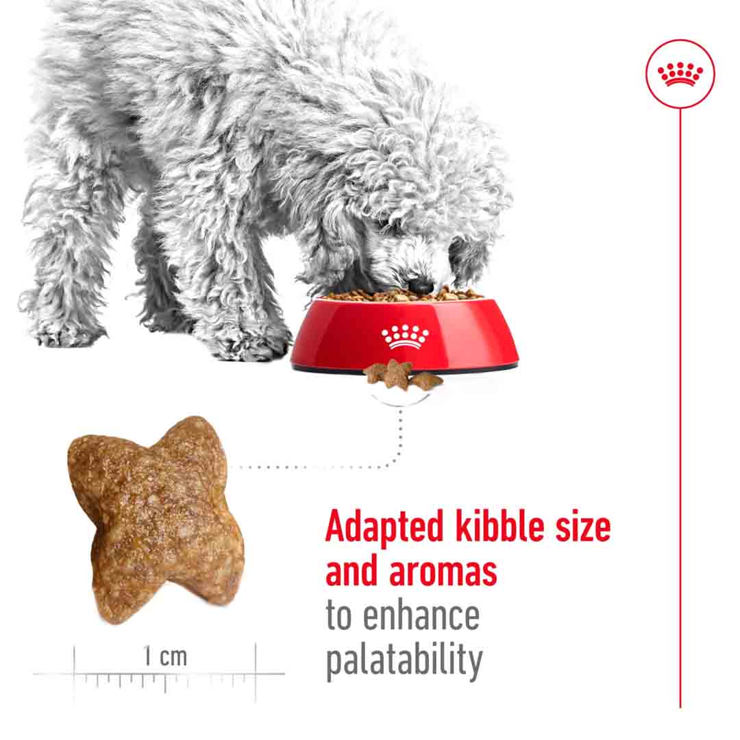 Royal Canin Dry Dog Food Mini Adult 2kg