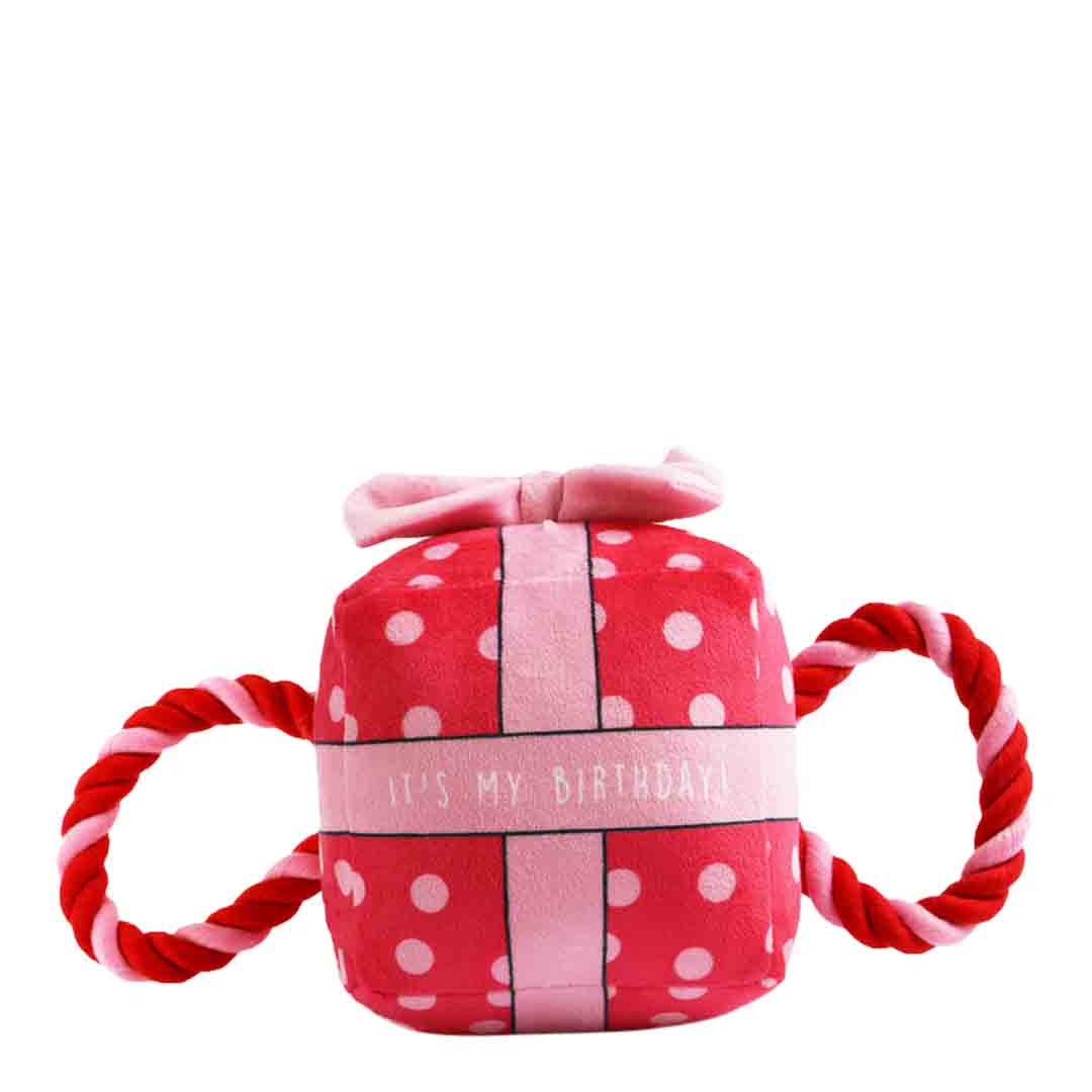 Ancol 'It’s My Birthday' Pink Present Small Dog Toy