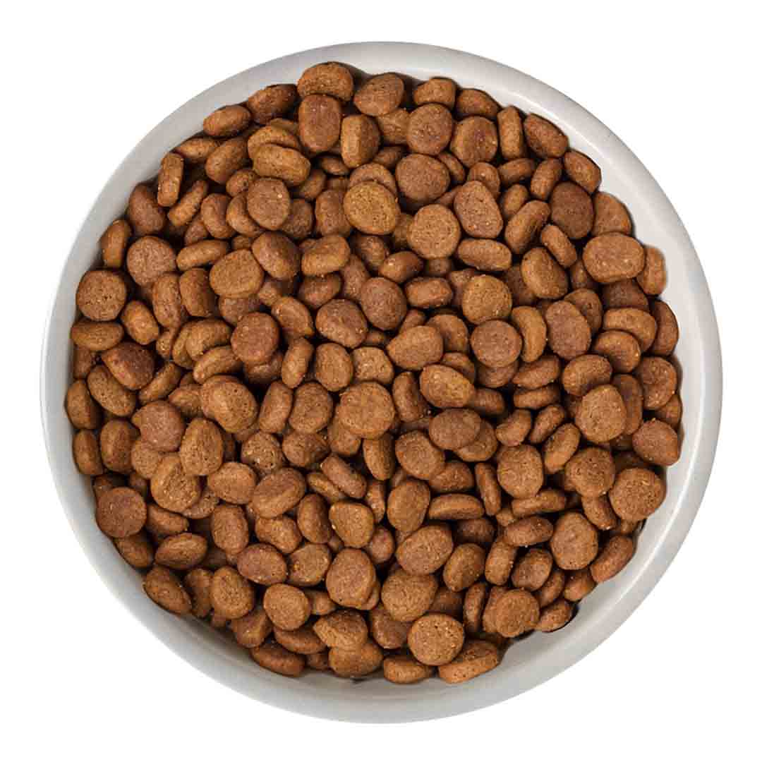 Nature's Variety Selected Dry Adult Sterilised Cat Norwegian Salmon Cat Food 1.25kg