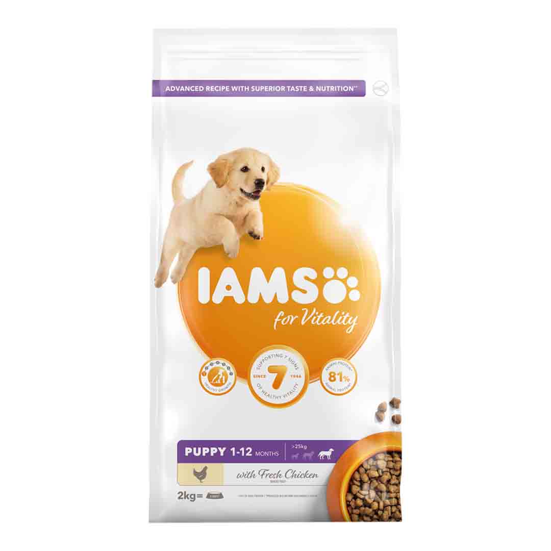 Iams Puppy Food Large Breed Chicken 2kg