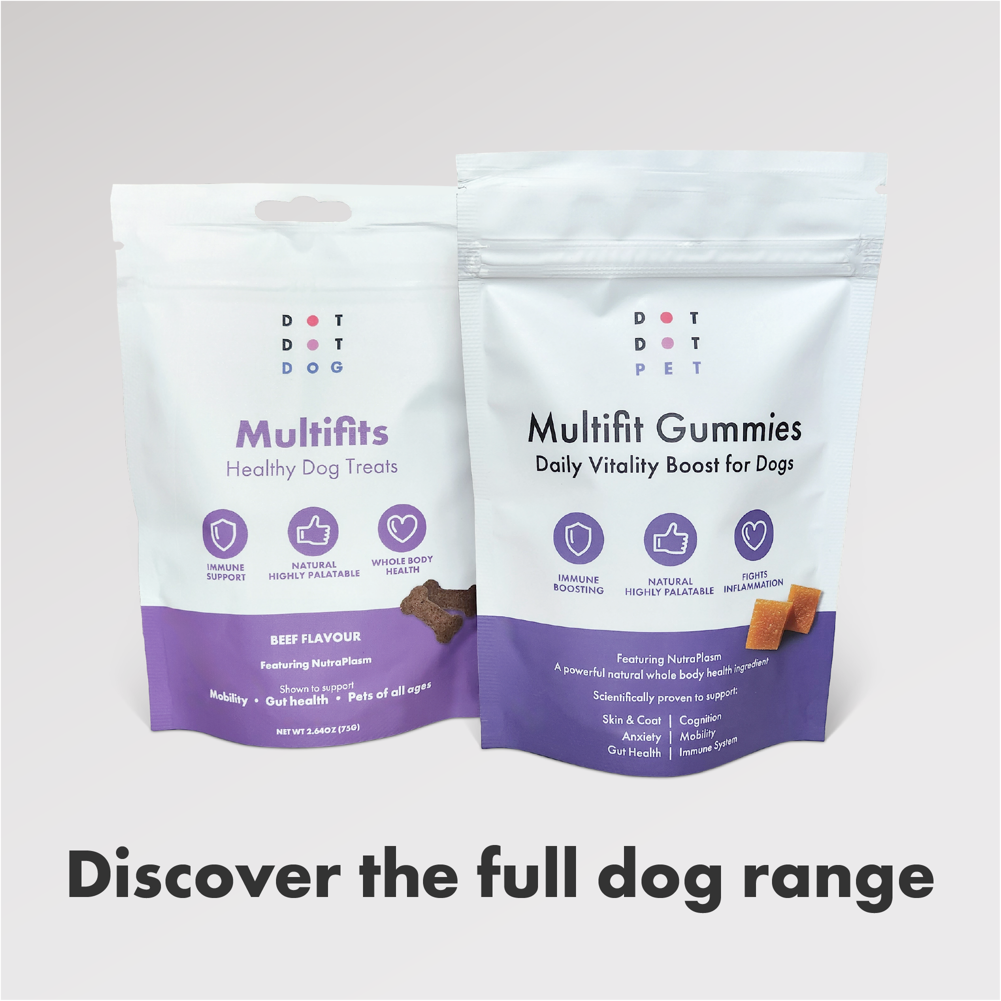 DotDotPet Multifit Multivitamins Dog Supplements 75g