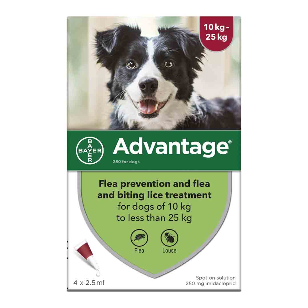 Advantage Spot-On 250 Flea Treatment Medium Dogs 10-25kg, 4 Pipettes
