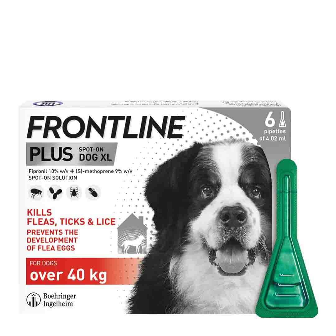 Frontline Plus Spot-On Flea & Tick Treatment for Extra Large Dogs 40-60kg, 6 Pipettes