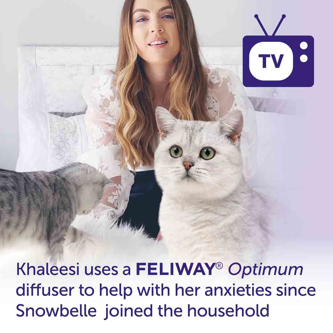 Feliway Optimum Refill 3 Pack