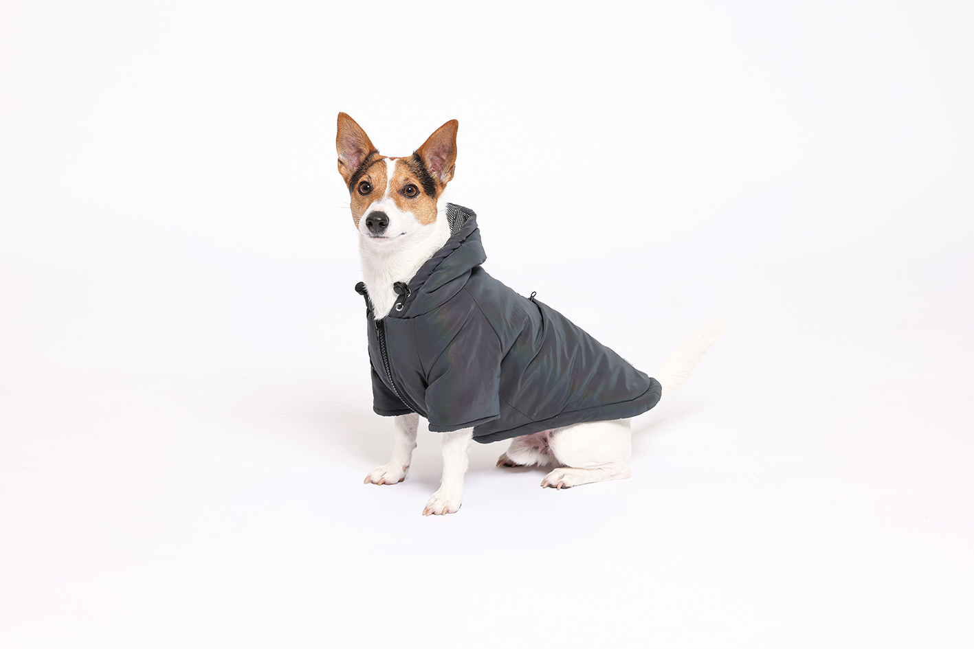 Rufus & Rosie Padded Country Jacket Navy, S+