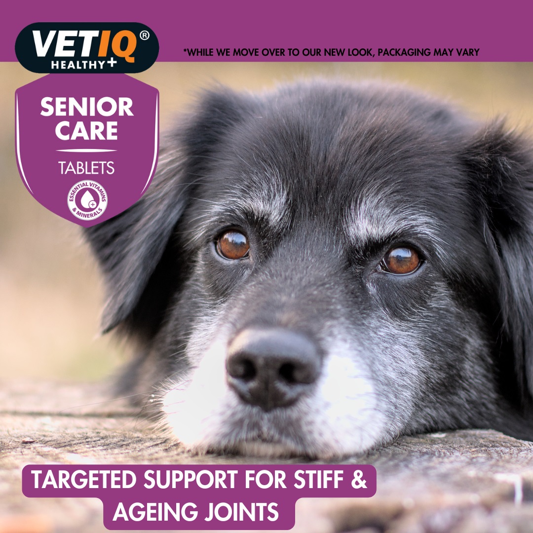 VetIQ Senior Care for Cats and Dogs 45 tablets