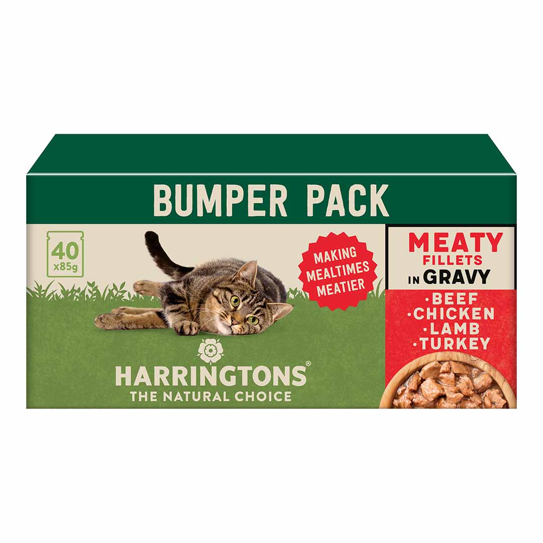 Harringtons Meat in Gravy Wet Cat Food 40x85g
