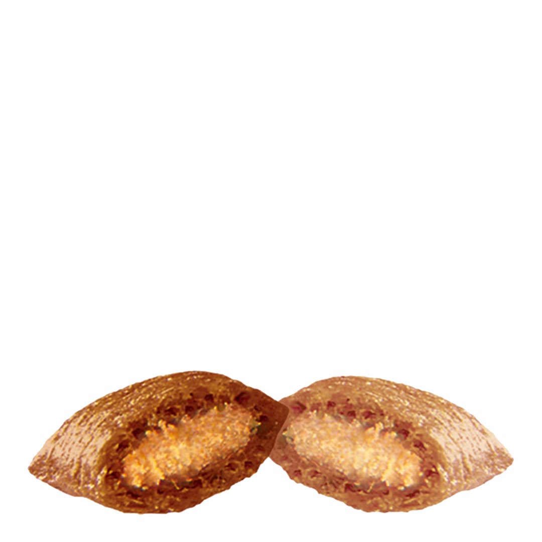 Dreamies Mix with Delicious Cheese and Tempting Beef 60g