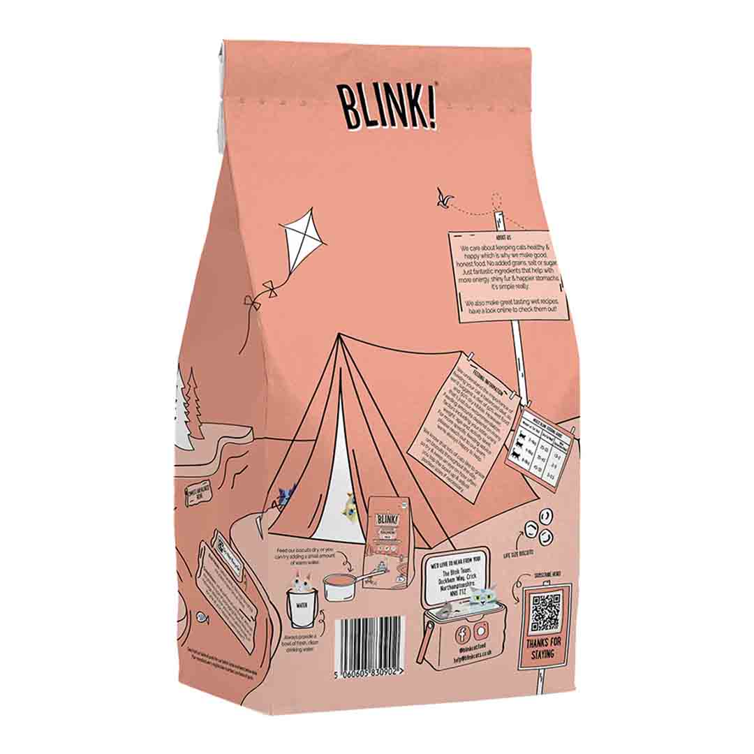Blink Dry Cat Food Salmon 2kg