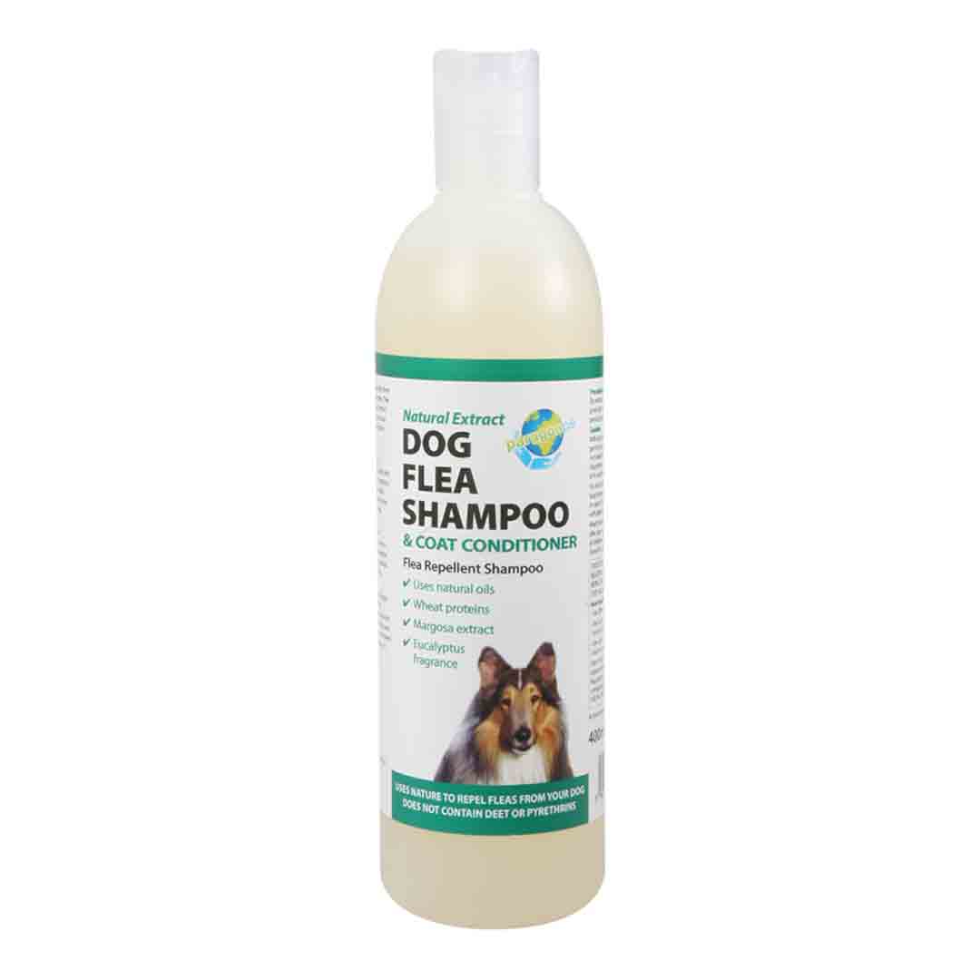 Paragon Flea Shampoo