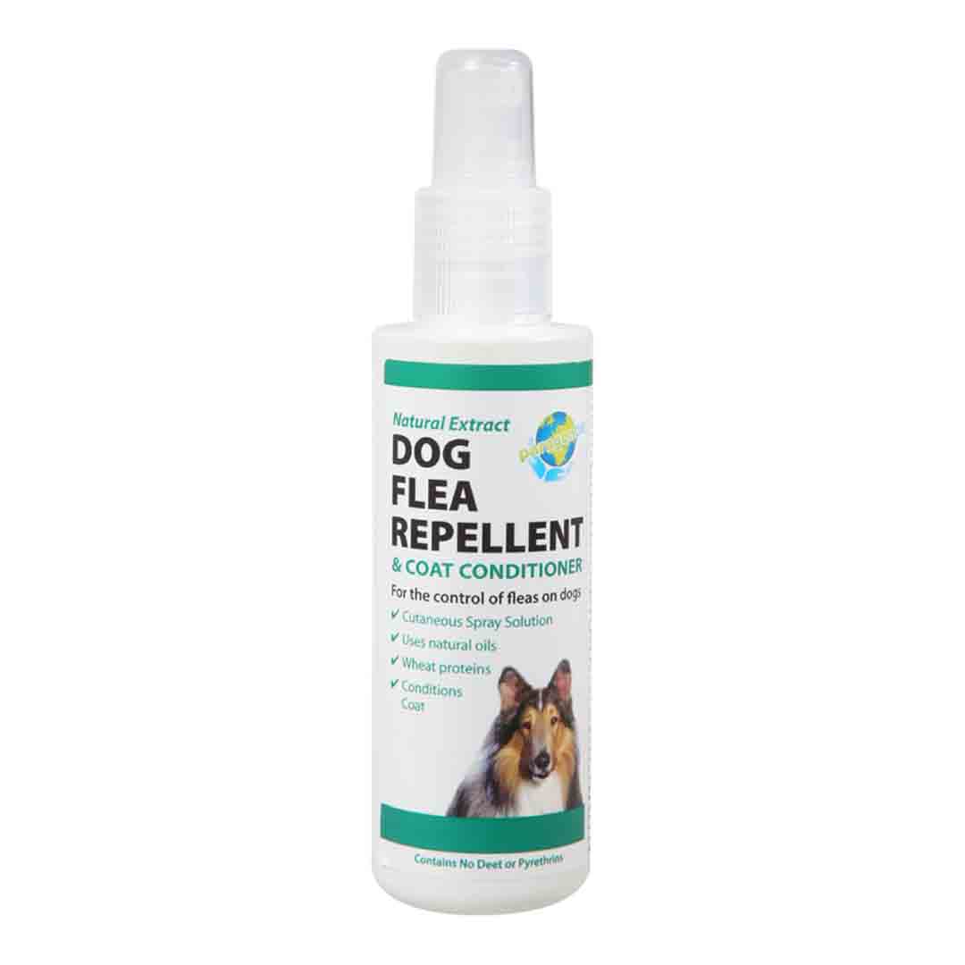 Paragon Flea Spray