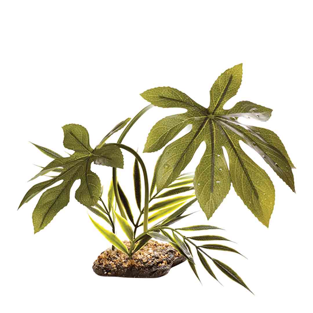 Komodo Jungle Canopy 42cm