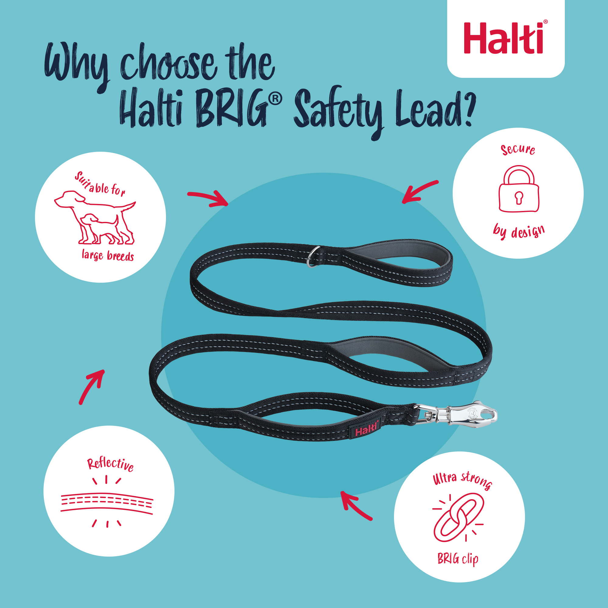 Halti BRIG Dog Safety Lead Neon Coral Large