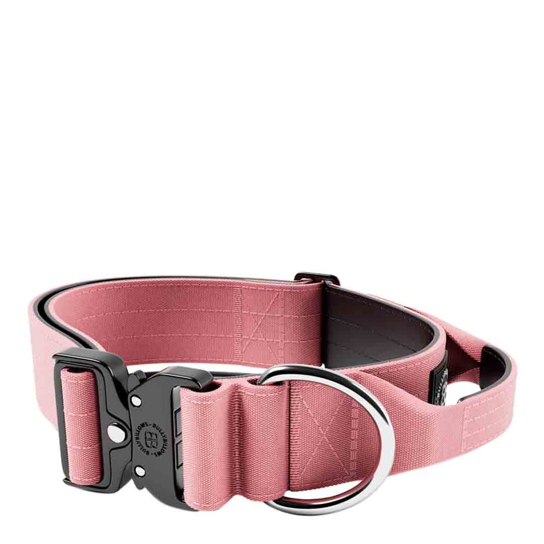 Bully Billows 5cm Combat Collar, Pink Extra Large
