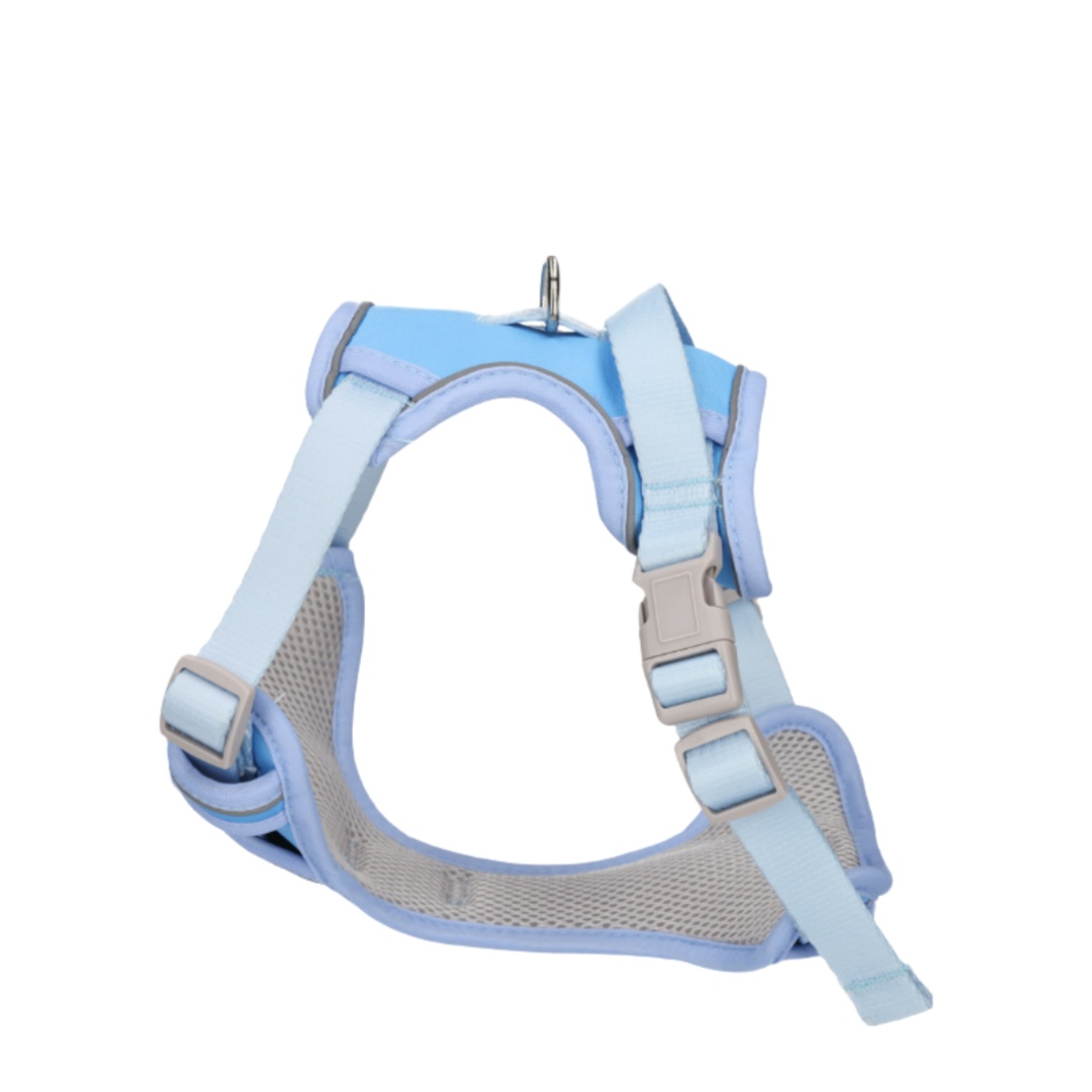 Rufus & Rosie Dog Harness & Lead Set Baby Blue, Medium
