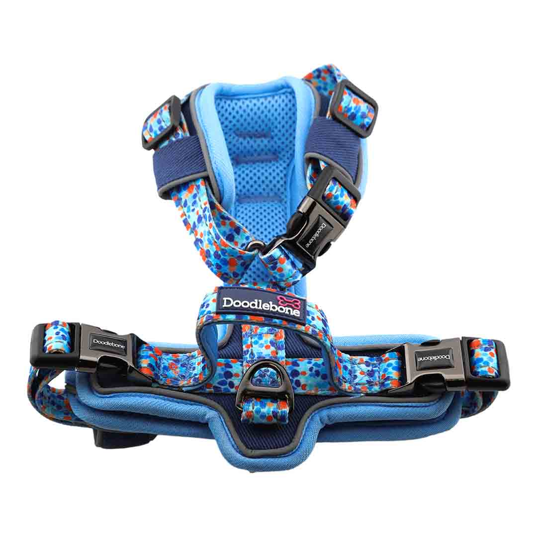 Doodlebone 'With Me' Dog Harness Blue 2-4