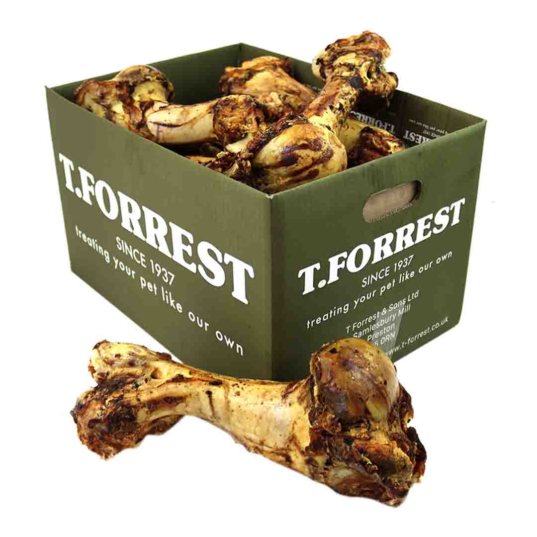 T. Forrest Roast Whole Bone Jurassic, Dog Chew