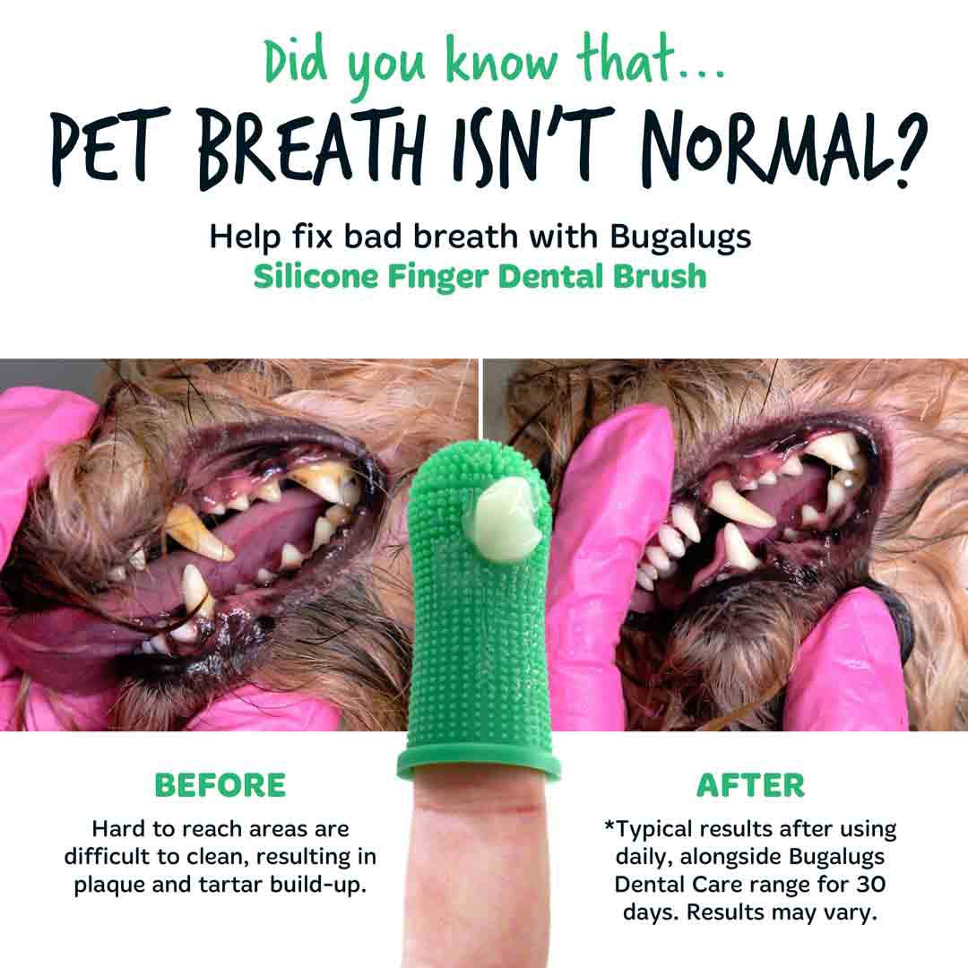 Bugalugs Dog Silicone Finger Dental Brush