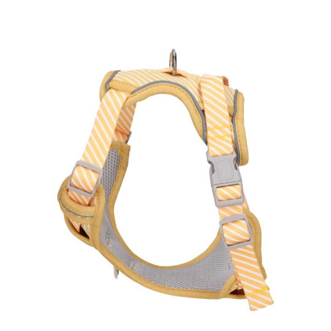 Rufus & Rosie Dog Harness & Lead Set Yellow, Medium
