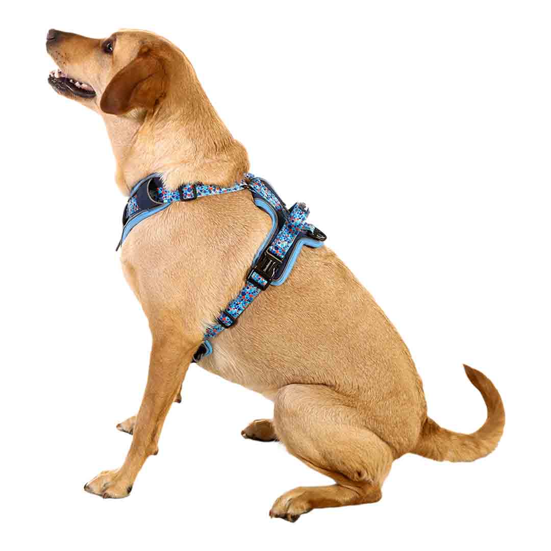 Doodlebone 'With Me' Dog Harness Blue 9-11