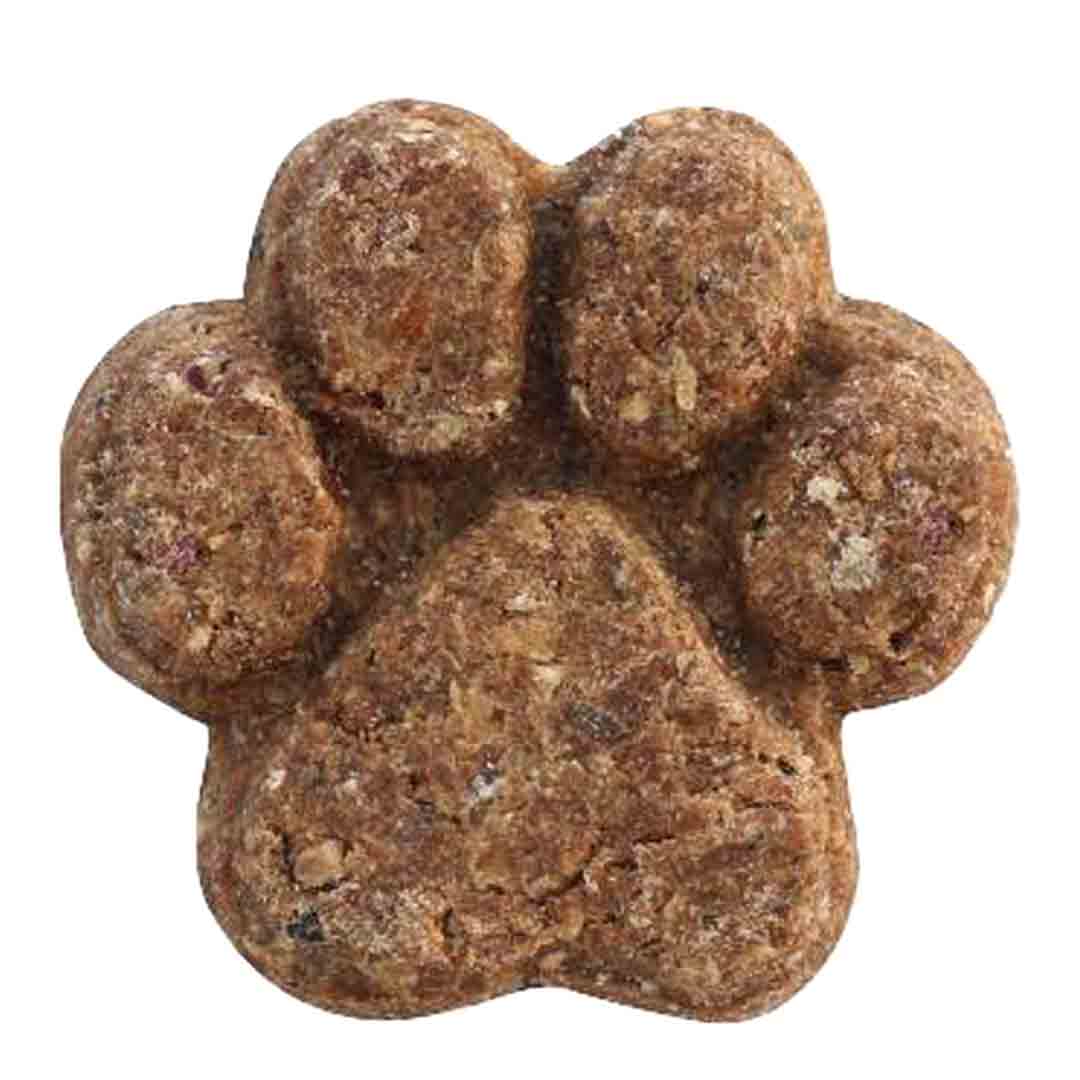 Little BigPaw Oven Baked Ocean Fish Dog Treats, 130g