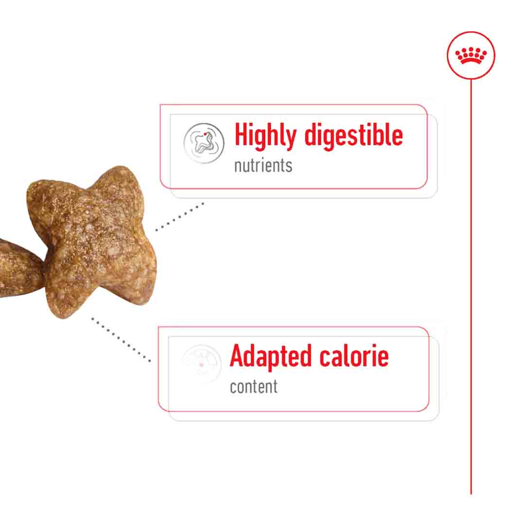 Royal Canin Dry Dog Food Mini Adult 4kg