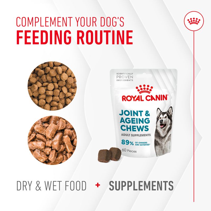 Royal Canin Dog Supplement for Joint & Ageing Soft Chews