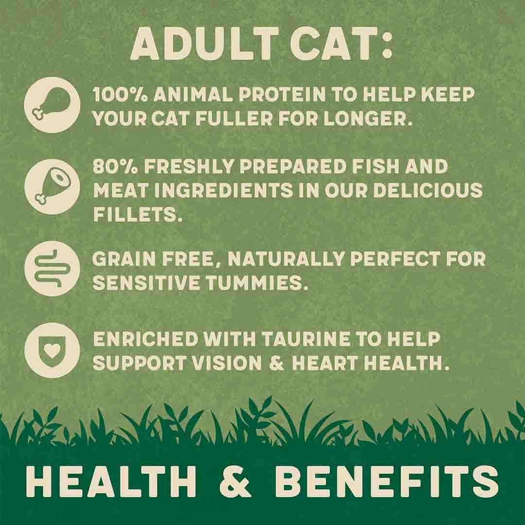 Harringtons Fish In Jelly Wet Cat Food, 12x85g