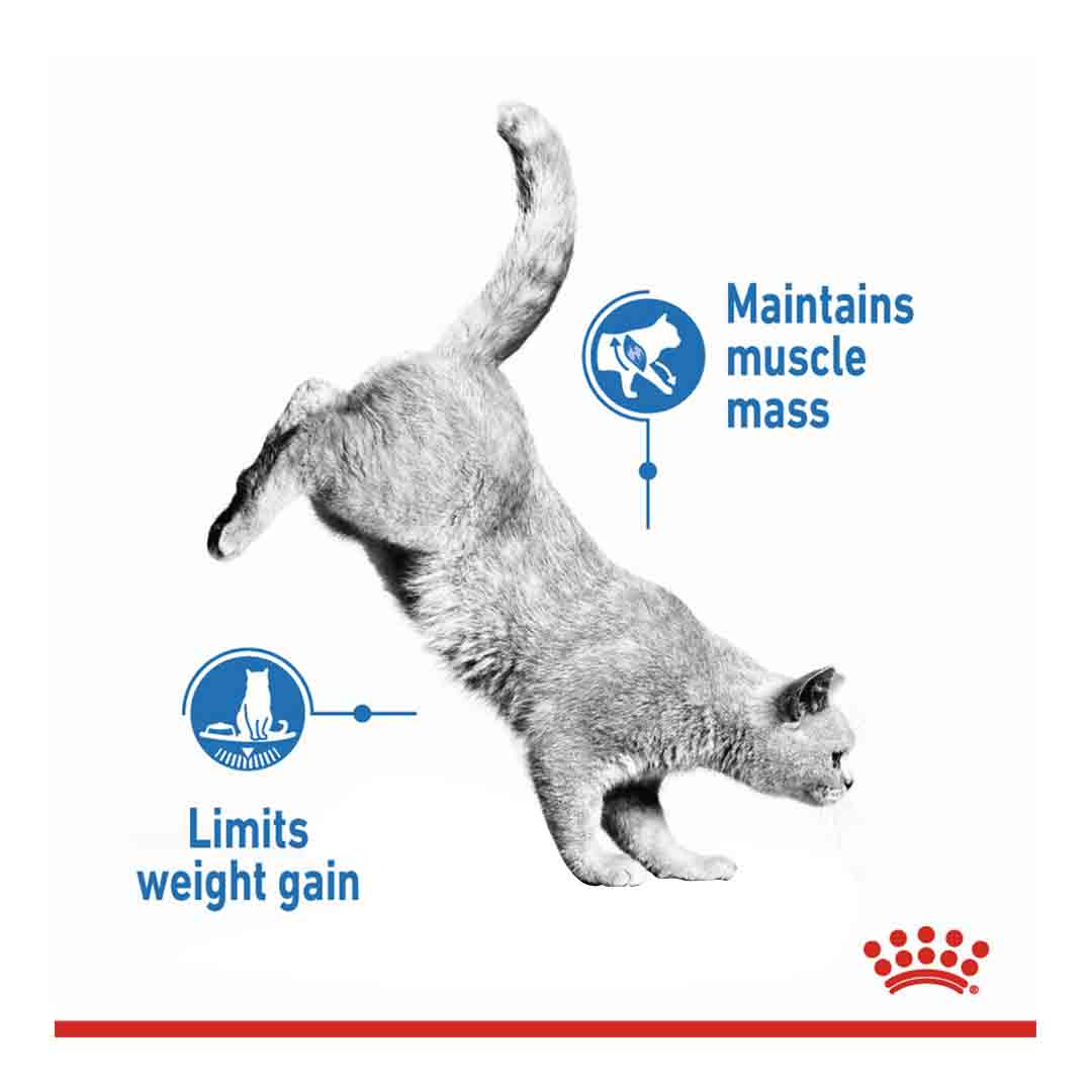 Royal Canin Cat Light 40 400g, Dry Cat Food