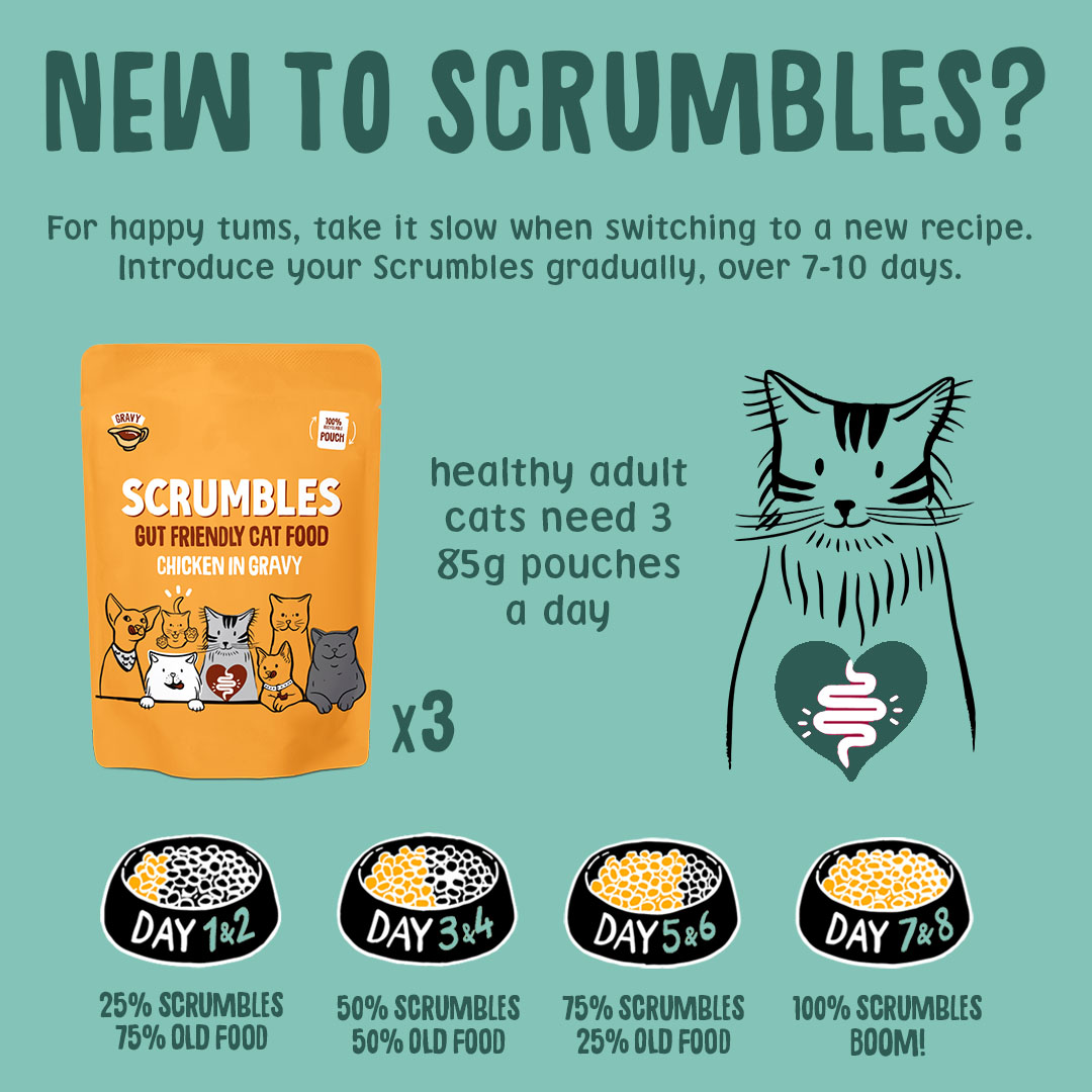 Scrumbles Grain Free Wet Cat Gravy Recyclable Pouch Selection 8x85g