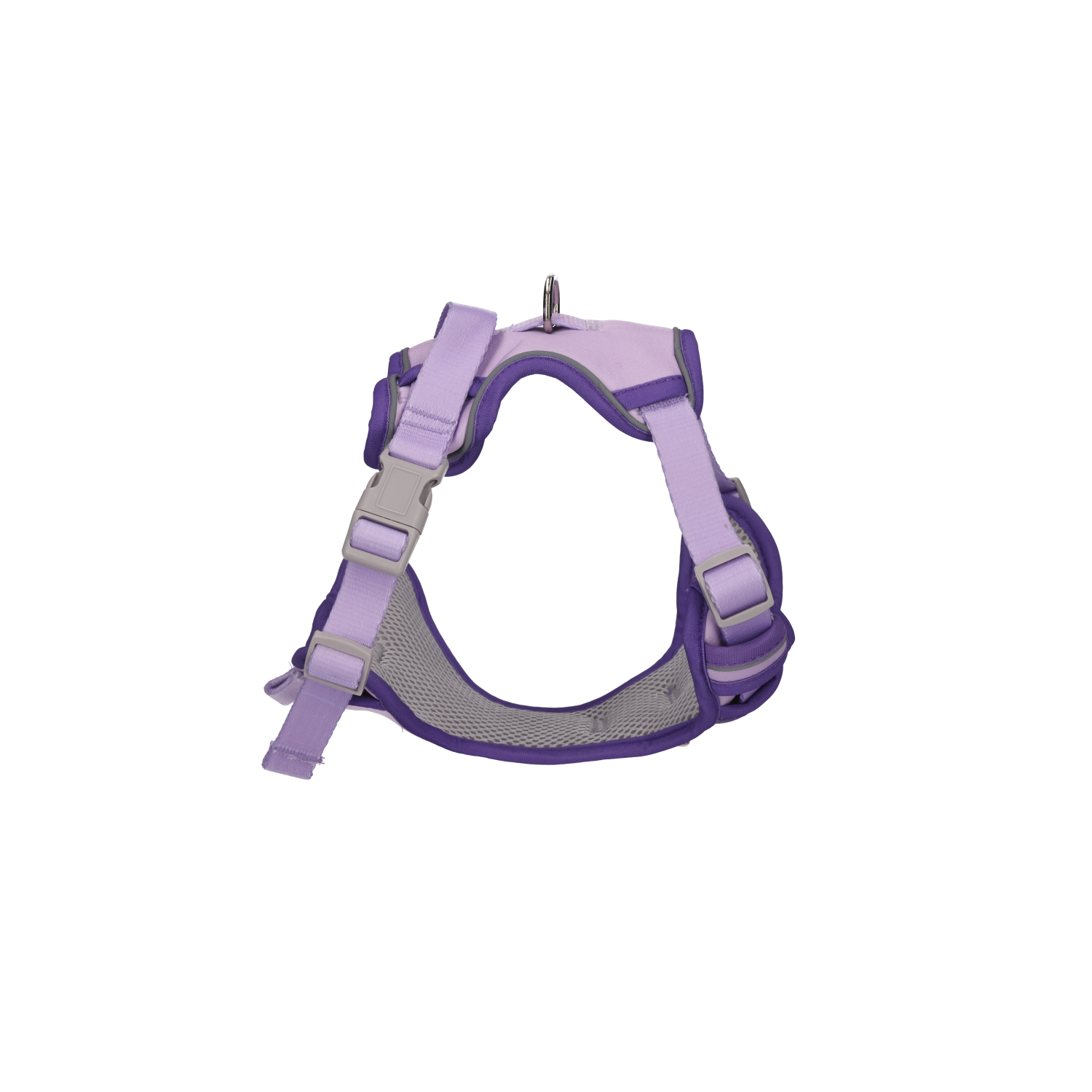 Rufus & Rosie Lilac Dog Harness & Lead Set, Extra Small