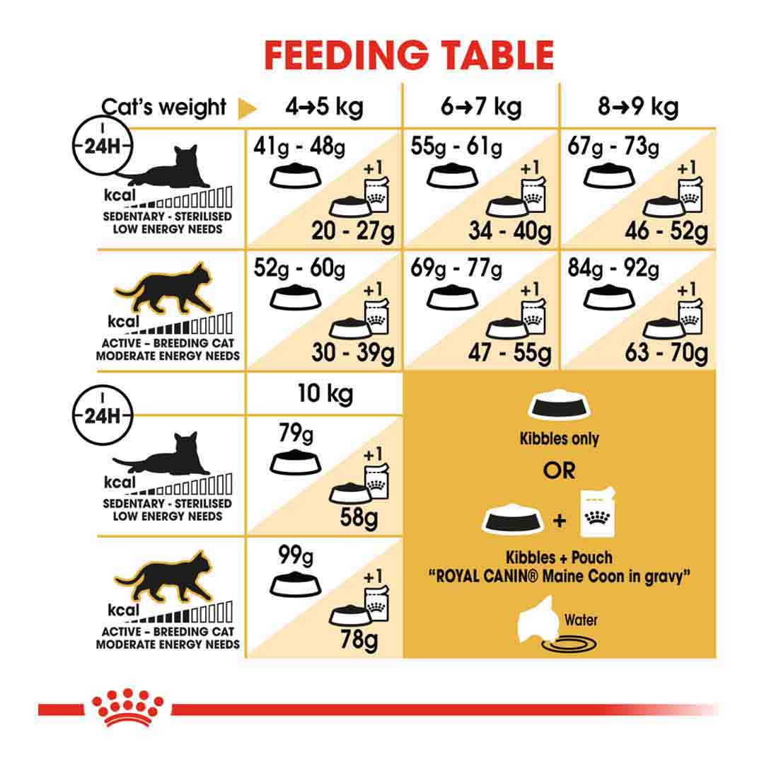 Royal Canin Maine Coon 31 Dry Cat Food 2kg