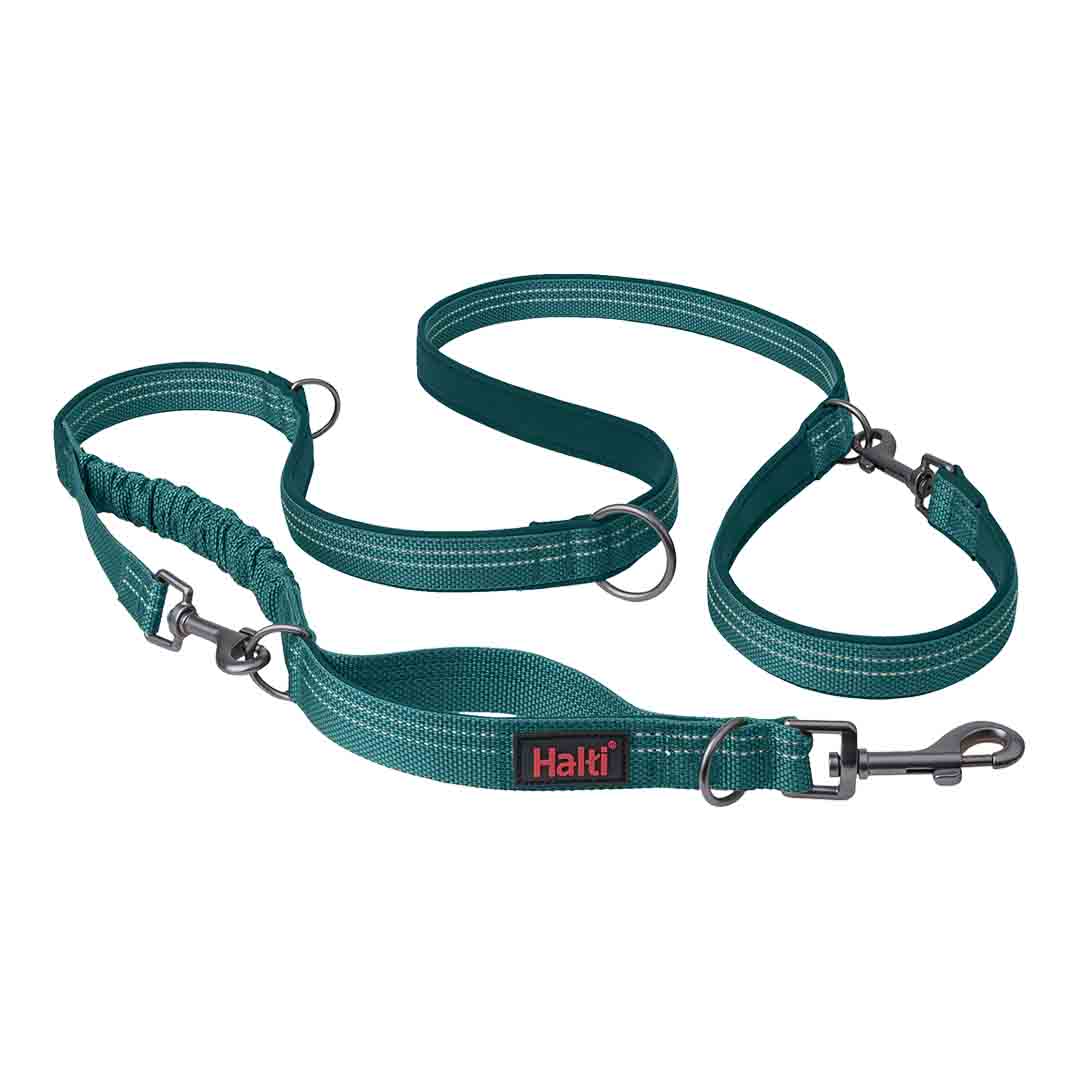 Halti Anatomy Multi Use Dog Lead in Teal, Small