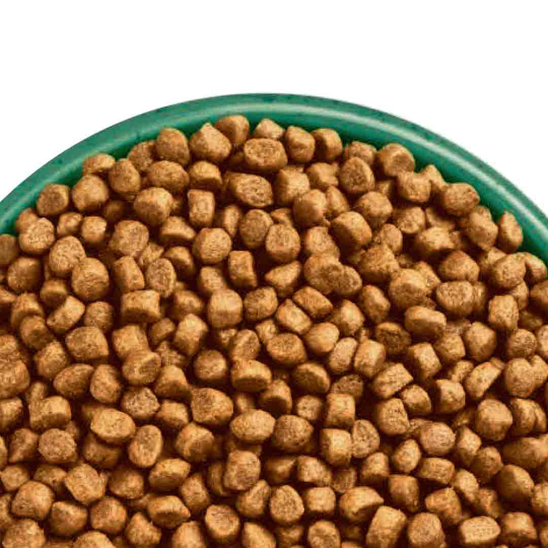 James Wellbeloved Adult Chicken Dry Cat Food 1.5kg