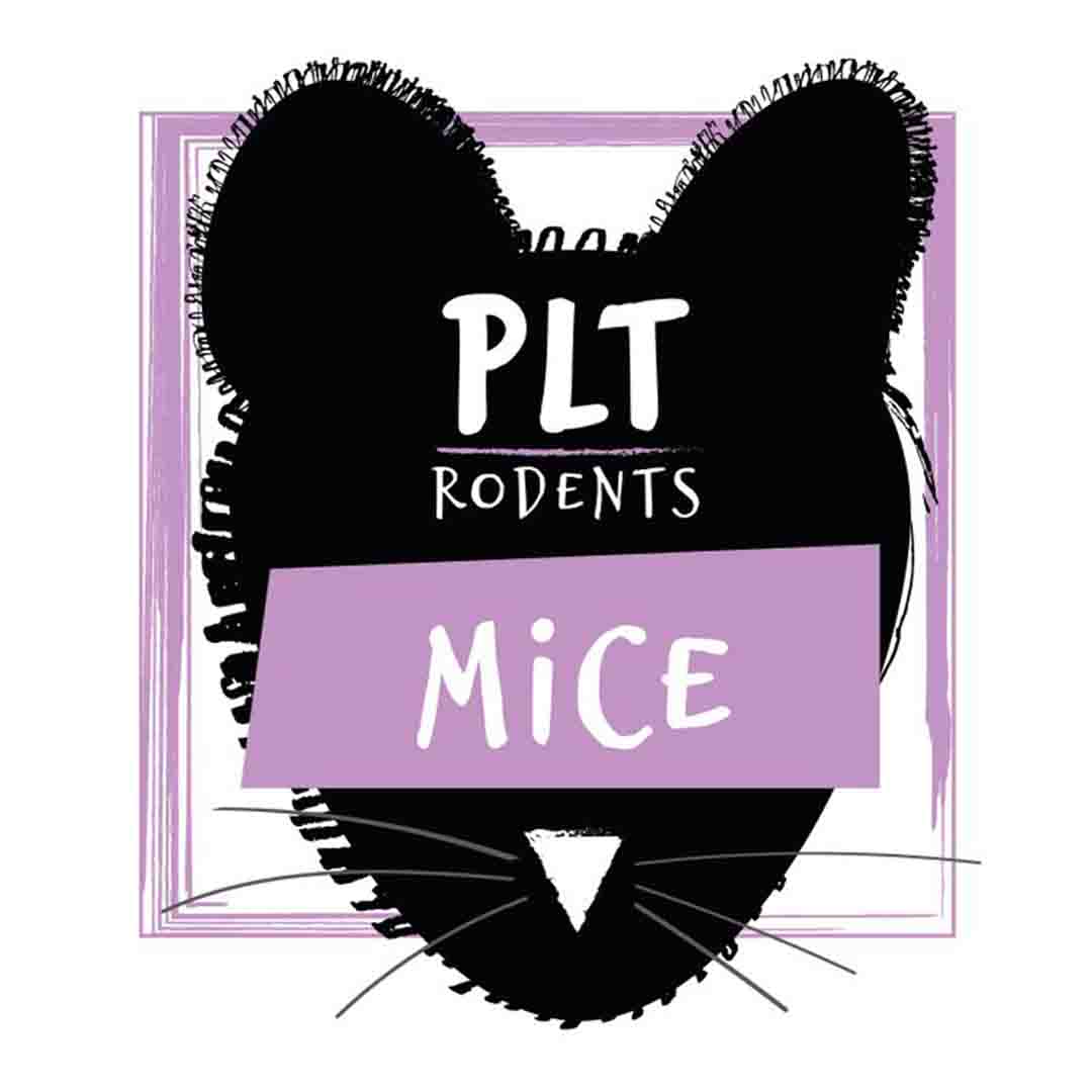PLT Large Frozen Mice Pinkies Reptile Food, 2g x 10 Packs